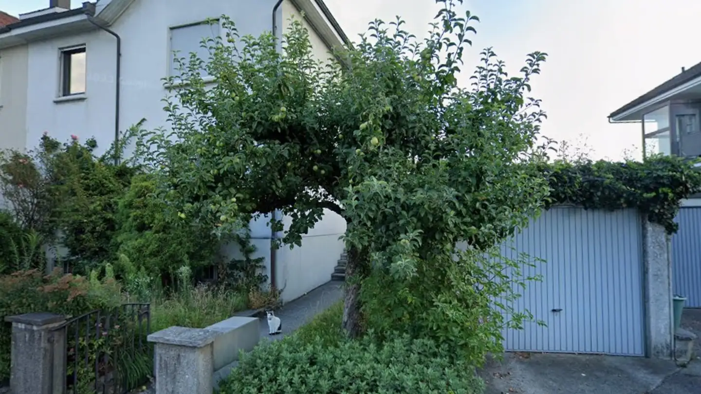 Wohnung mieten - Vorderer Steinacker 23, 4600 Olten