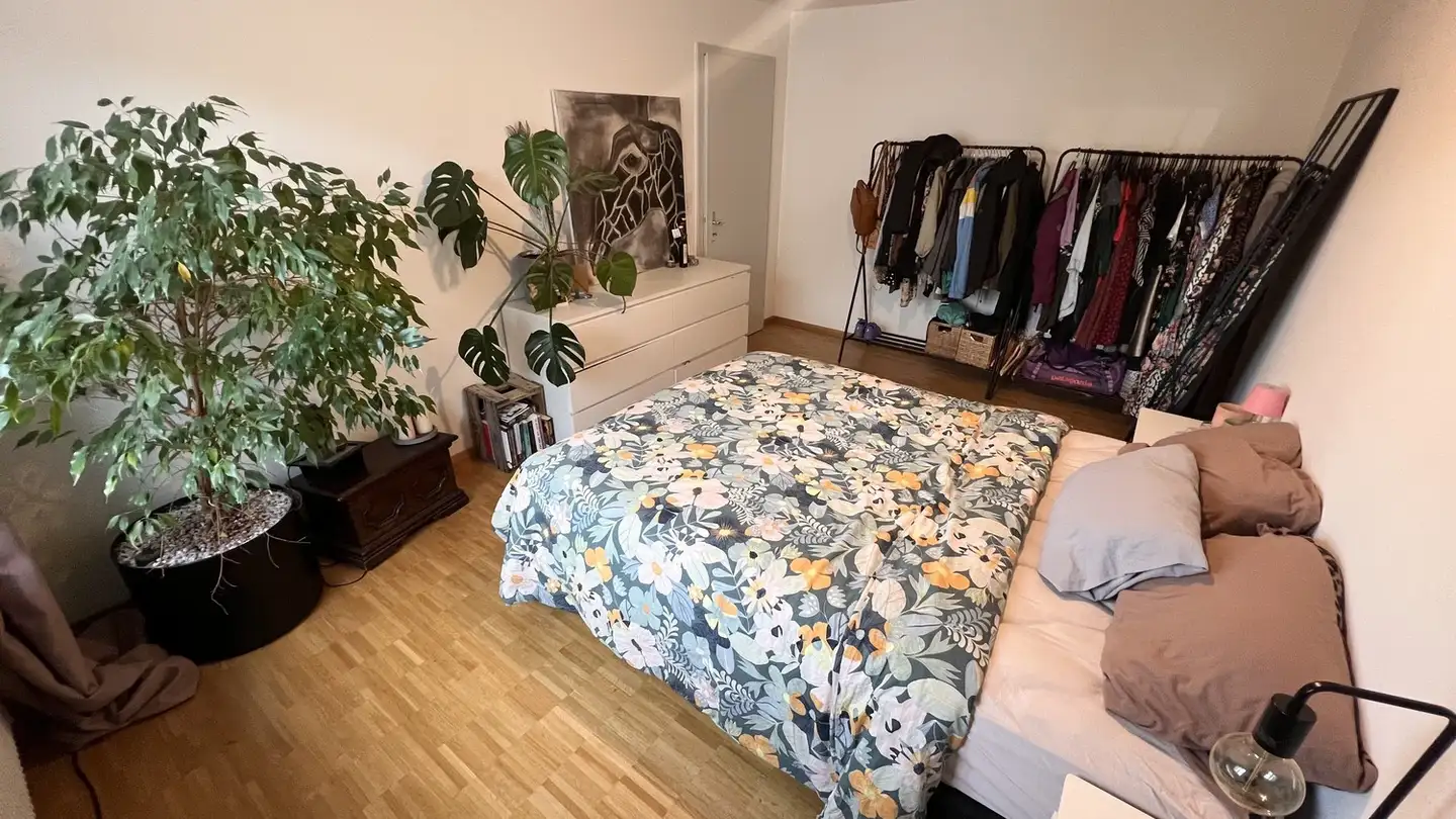 Single room for rent - Hans Huber-Strasse, 4500 Solothurn - Photo 3