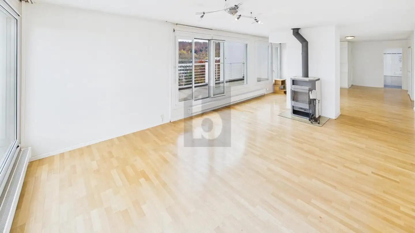 Penthouse for rent - 3018 Bern