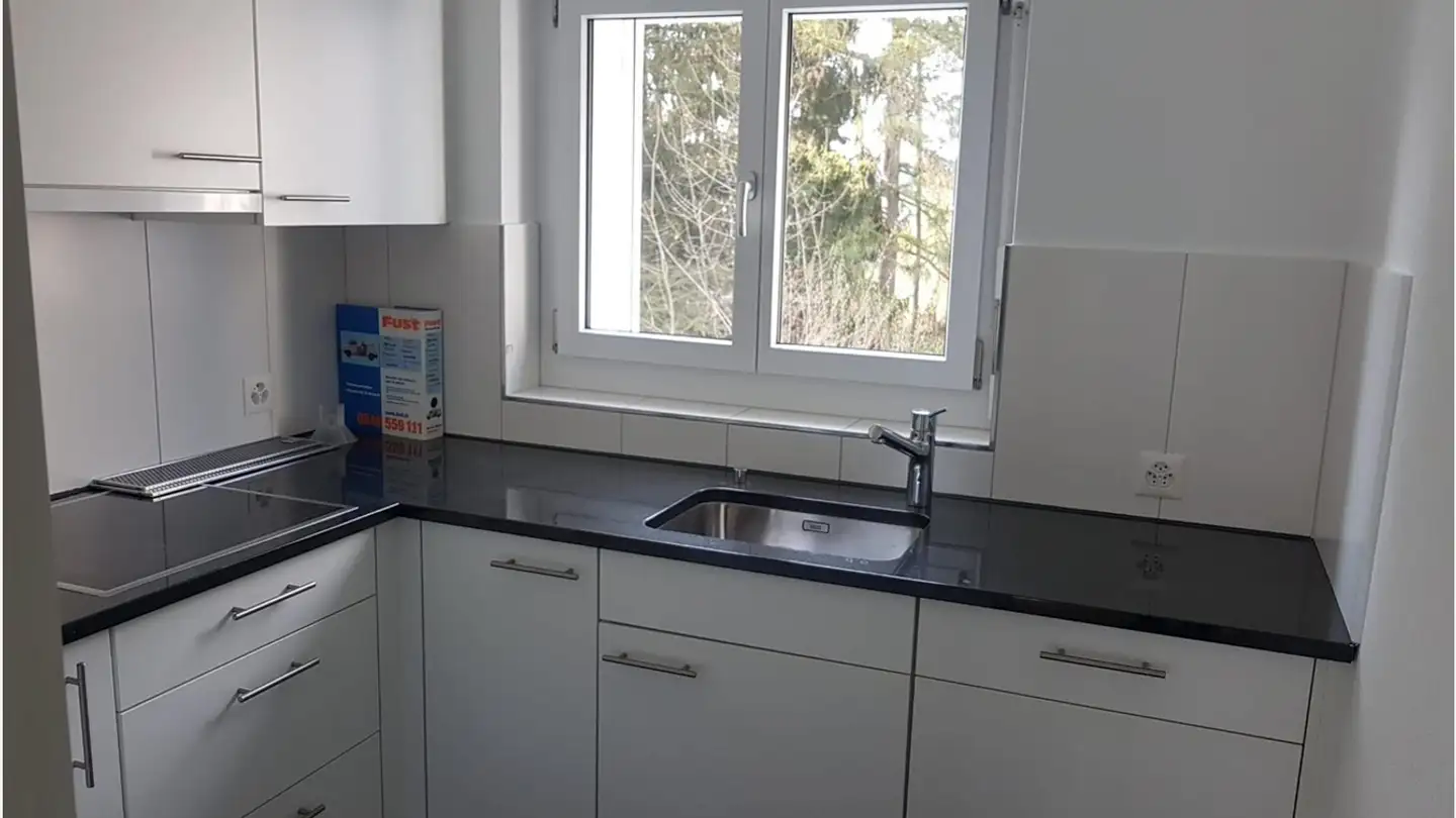Apartment for rent - Alte Hedingerstrasse 33, 8910 Affoltern am Albis - Photo 4