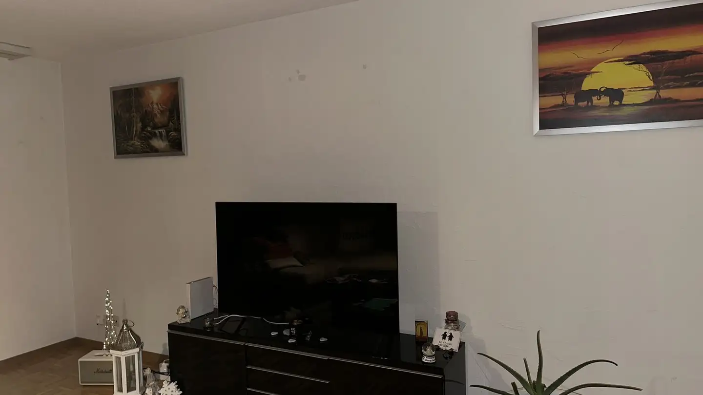 Appartement meublé à louer - 8910 Affoltern am Albis - Photo 2