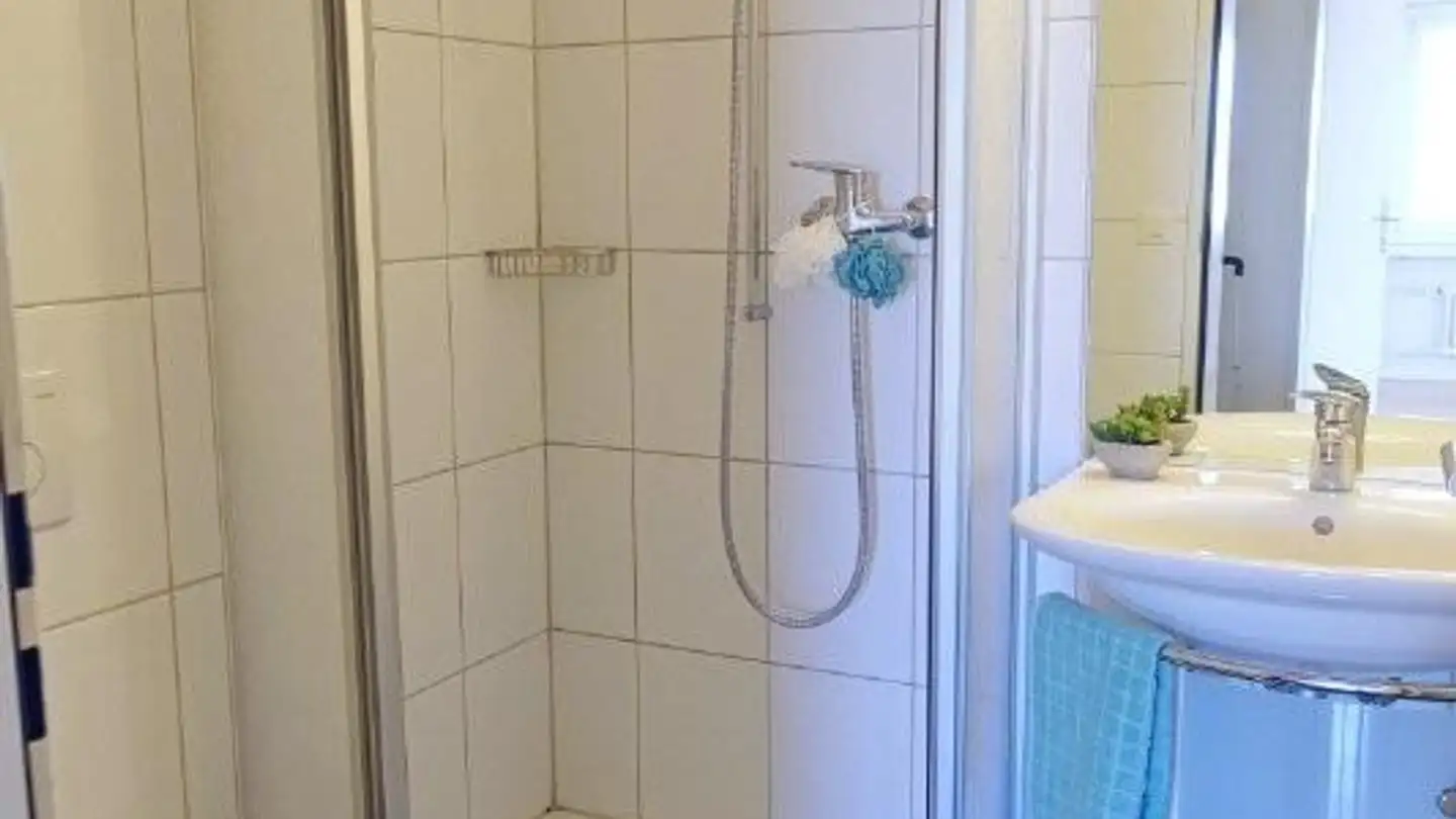 Apartment for rent - Unter-Geissenstein 10, 6005 Luzern - Photo 4