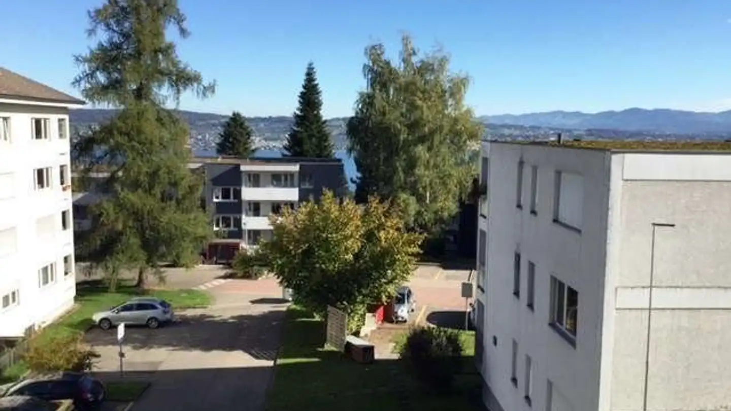 Outdoor parking space for rent - Walther-Hauser-Strasse 12, 8820 Wädenswil