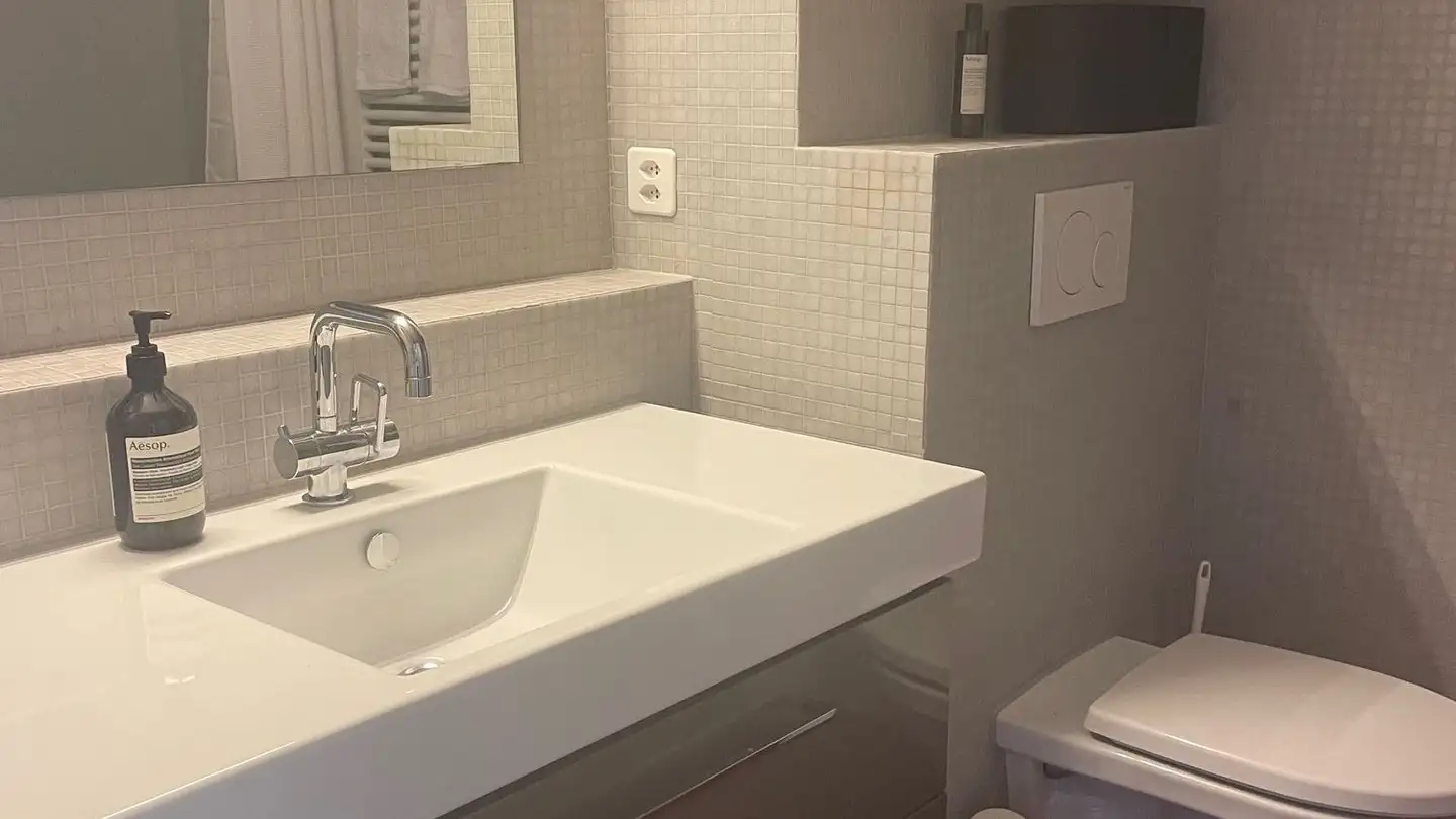 Furnished apartment for rent - Rheingasse 66, 4058 Basel - Photo 3