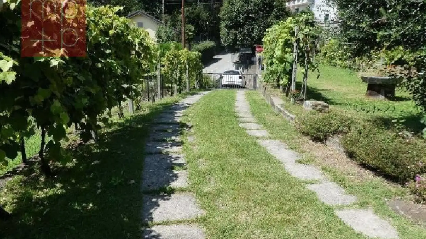 Constructible plot for sale - 6968 Sonvico - Photo 3