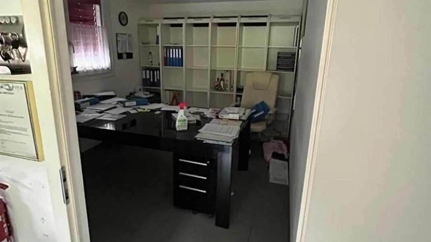 Proprietà industriale in affitto - Eichholzstrasse 10a, 8493 Saland - Photo 4