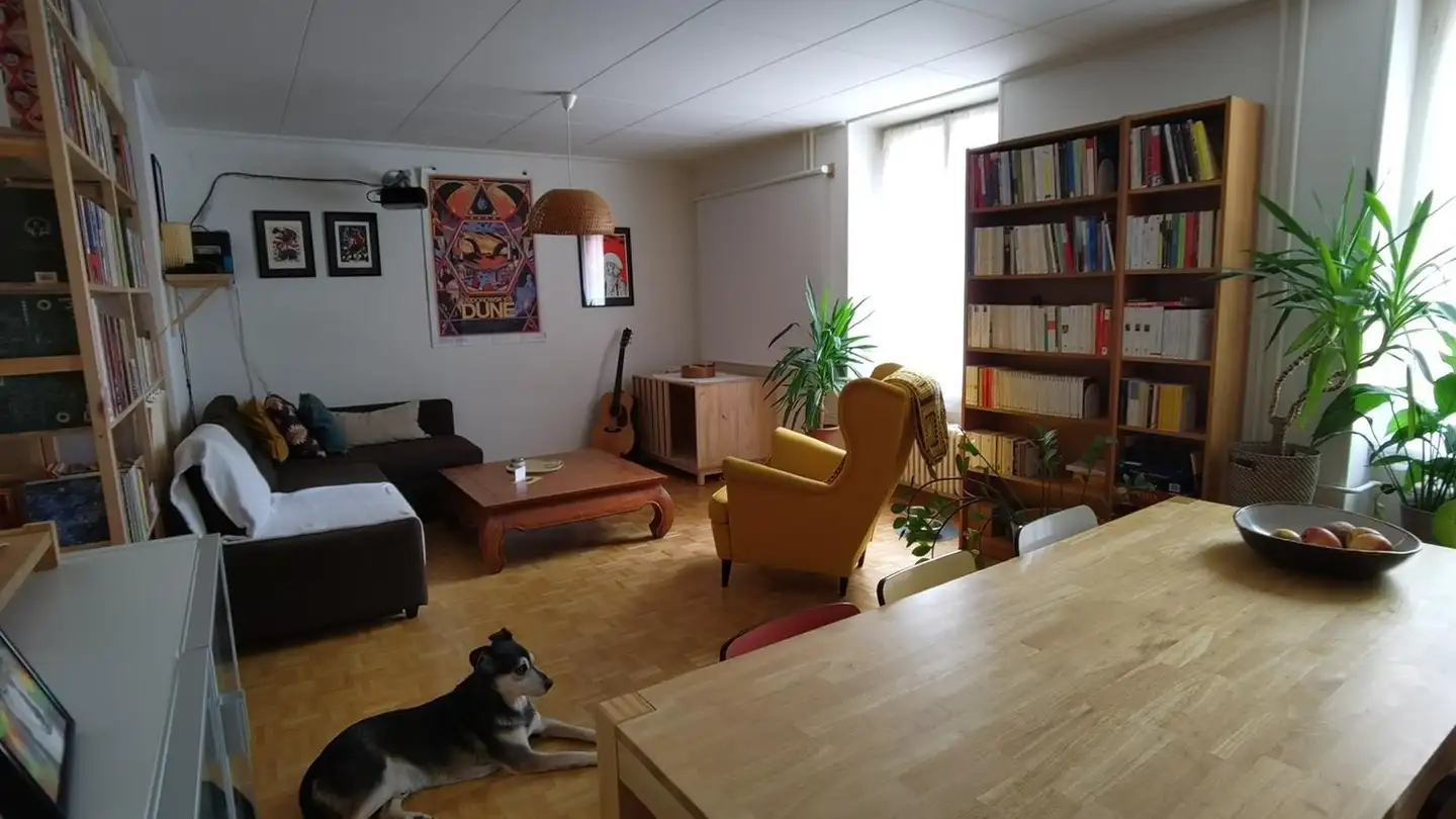 Single room for rent - Passage Mathias Mayor, 1004 Lausanne - Photo 4