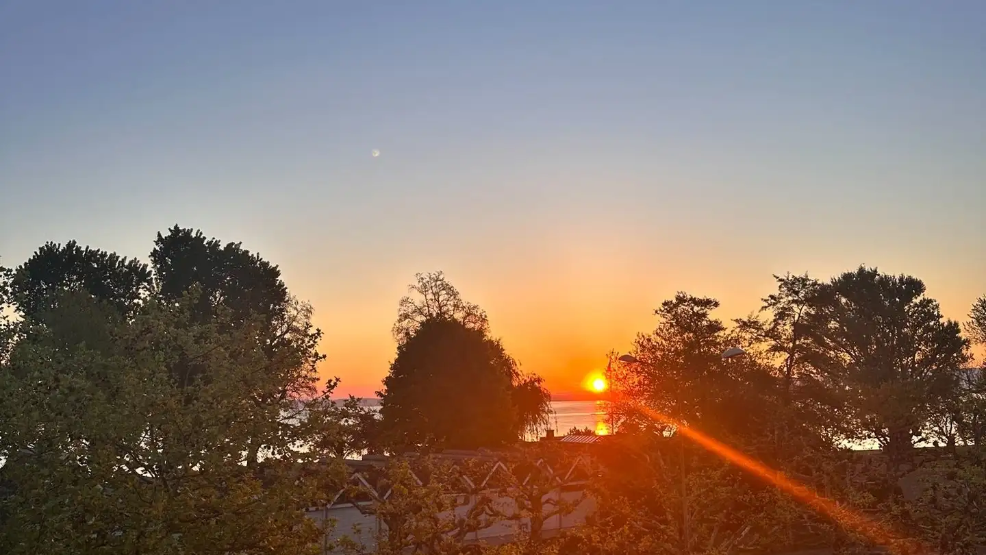 Wohnung mieten - Badgasse 19, 9320 Arbon