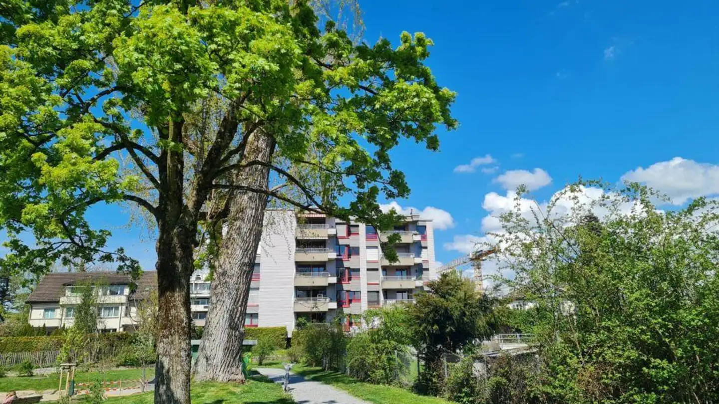 Appartamento in affitto - Alte Jonastrasse 22, 8640 Rapperswil SG