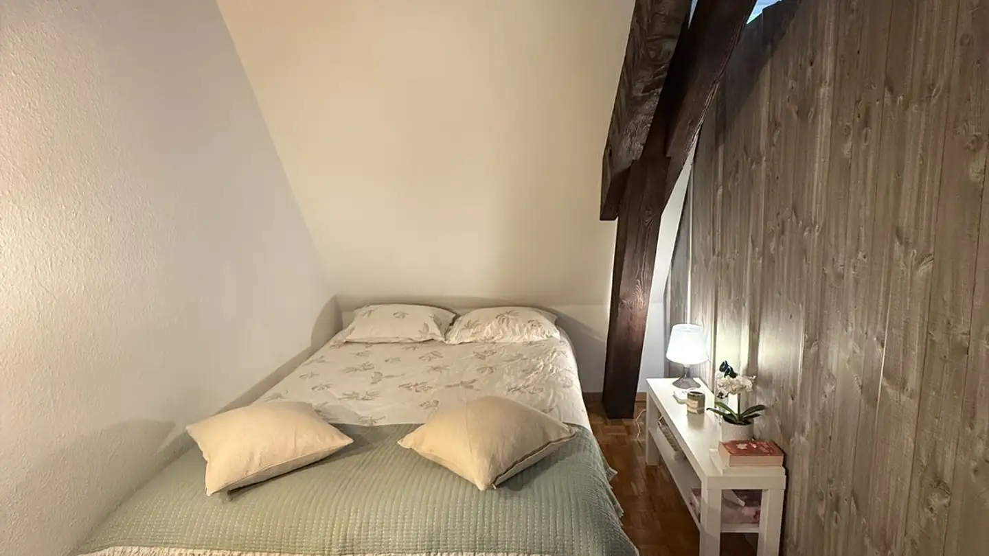 Apartment for rent - Chemin Des Crêts-De-Champel 4, 1206 Genève - Photo 4