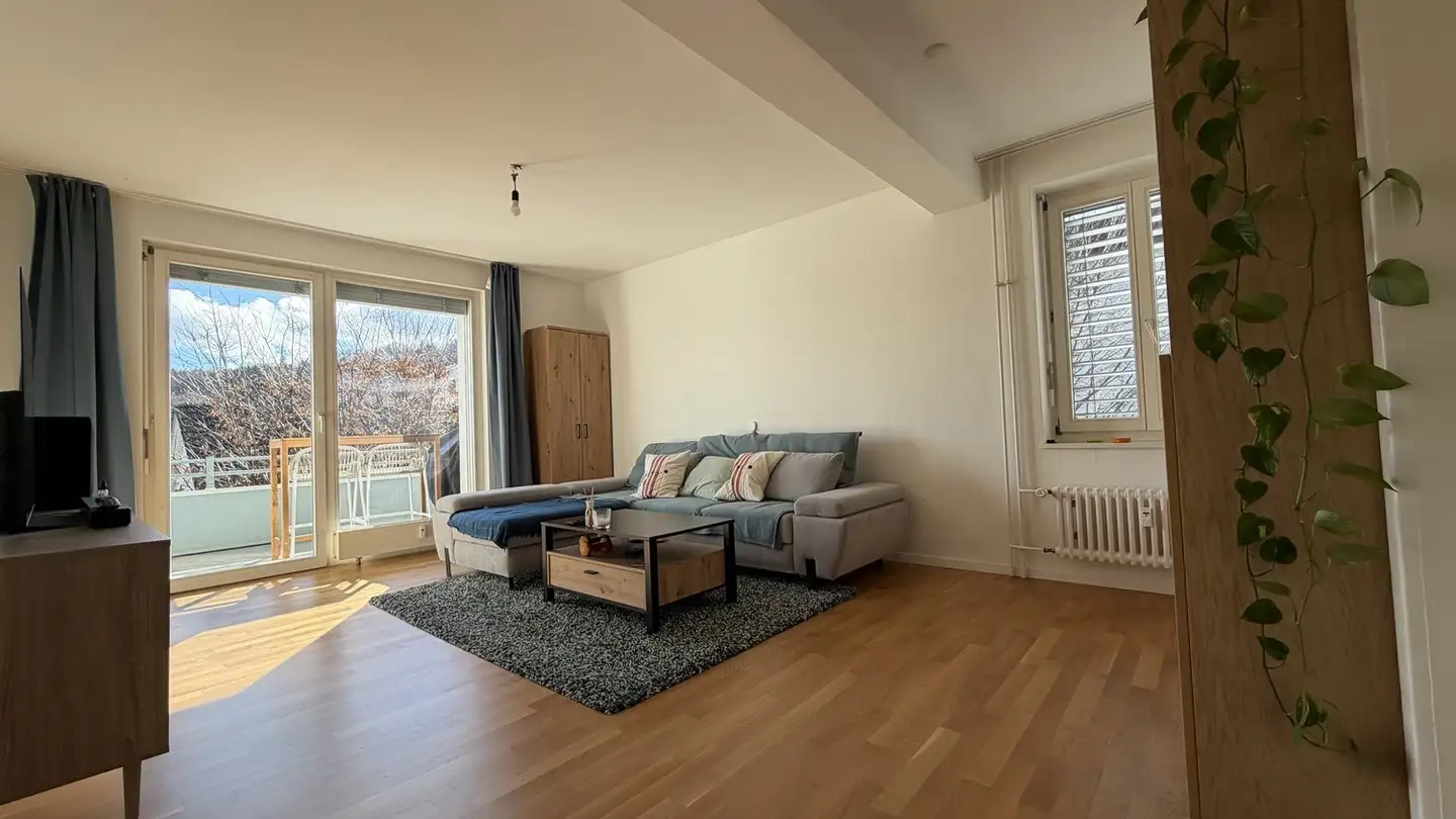 Chambre à louer - Apfelbaumstrasse, 8050 Zürich