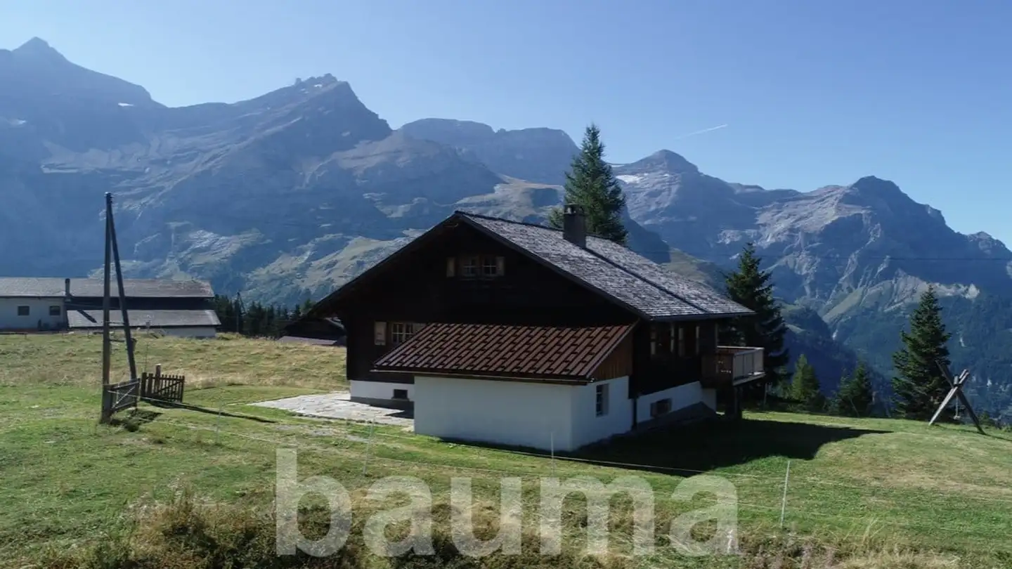 Chalet for sale - 1865 Les Diablerets - Photo 3