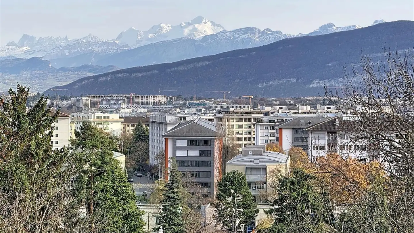 Wohnung mieten - Rue De Moillebeau 42b, 1209 Genève - Foto 2