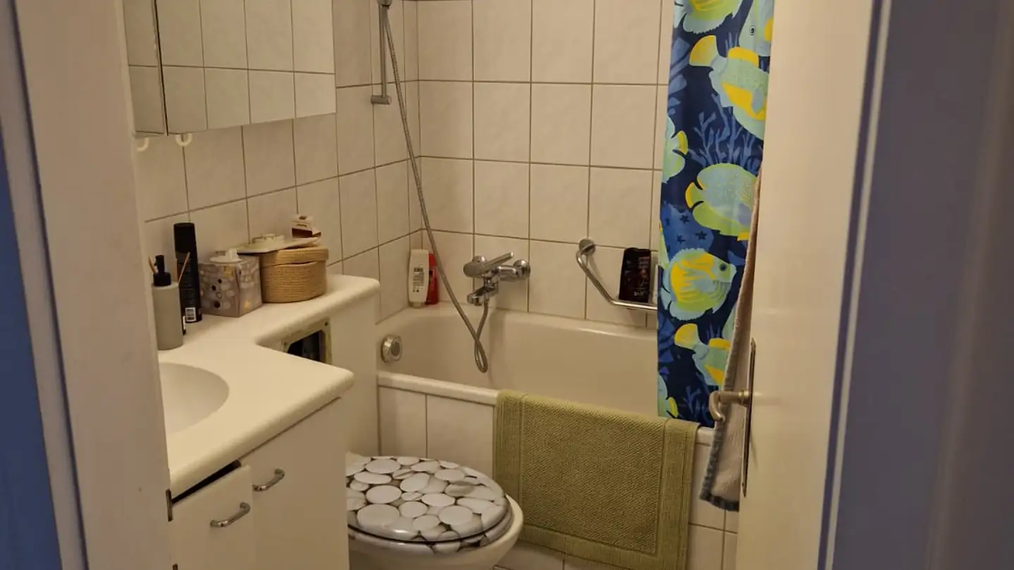 Wohnung mieten - Einfangstrasse 28, 8406 Winterthur - Foto 4