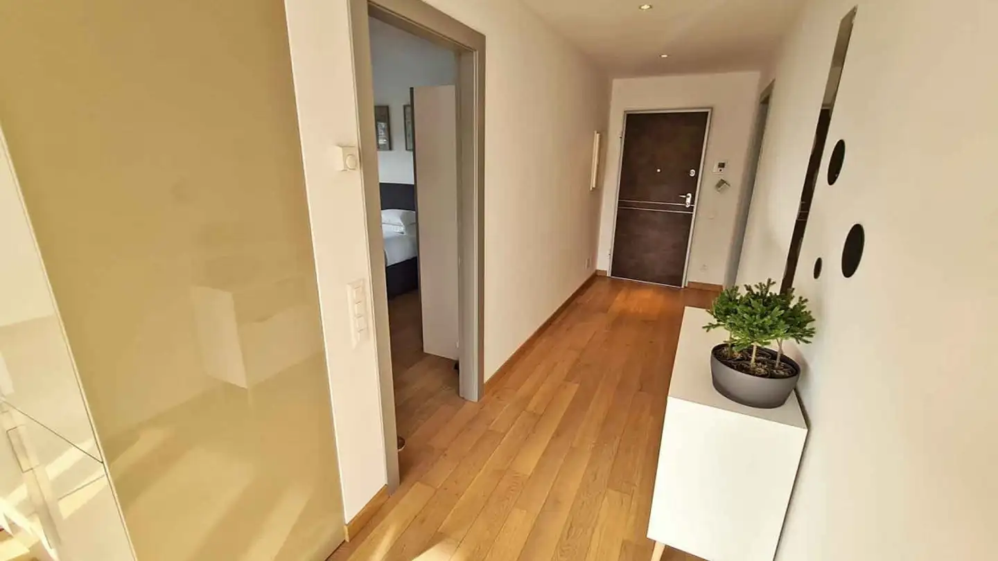 Wohnung kaufen - 6900 Massagno - Foto 4