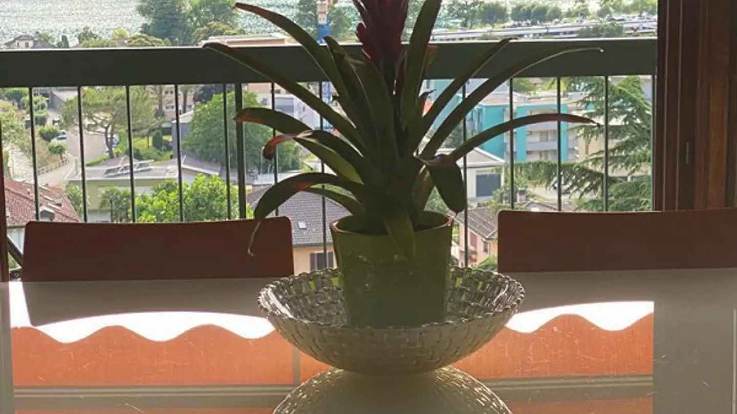 Appartamento in vendita - 6818 Melano - Foto 2