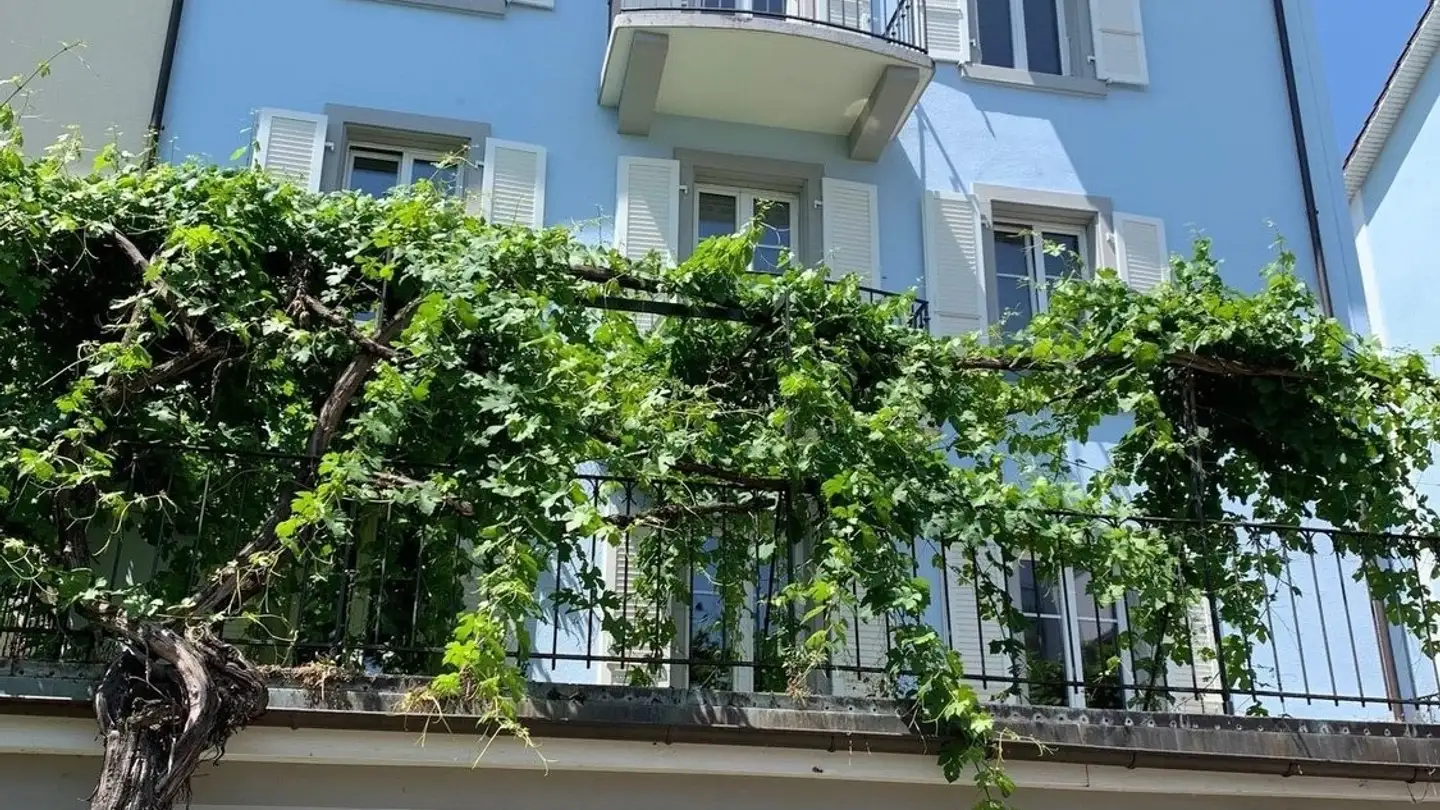 Stepped apartment for rent - Rue Des Prés / Mattenstrasse 36, 2503 Biel/Bienne - Photo 2