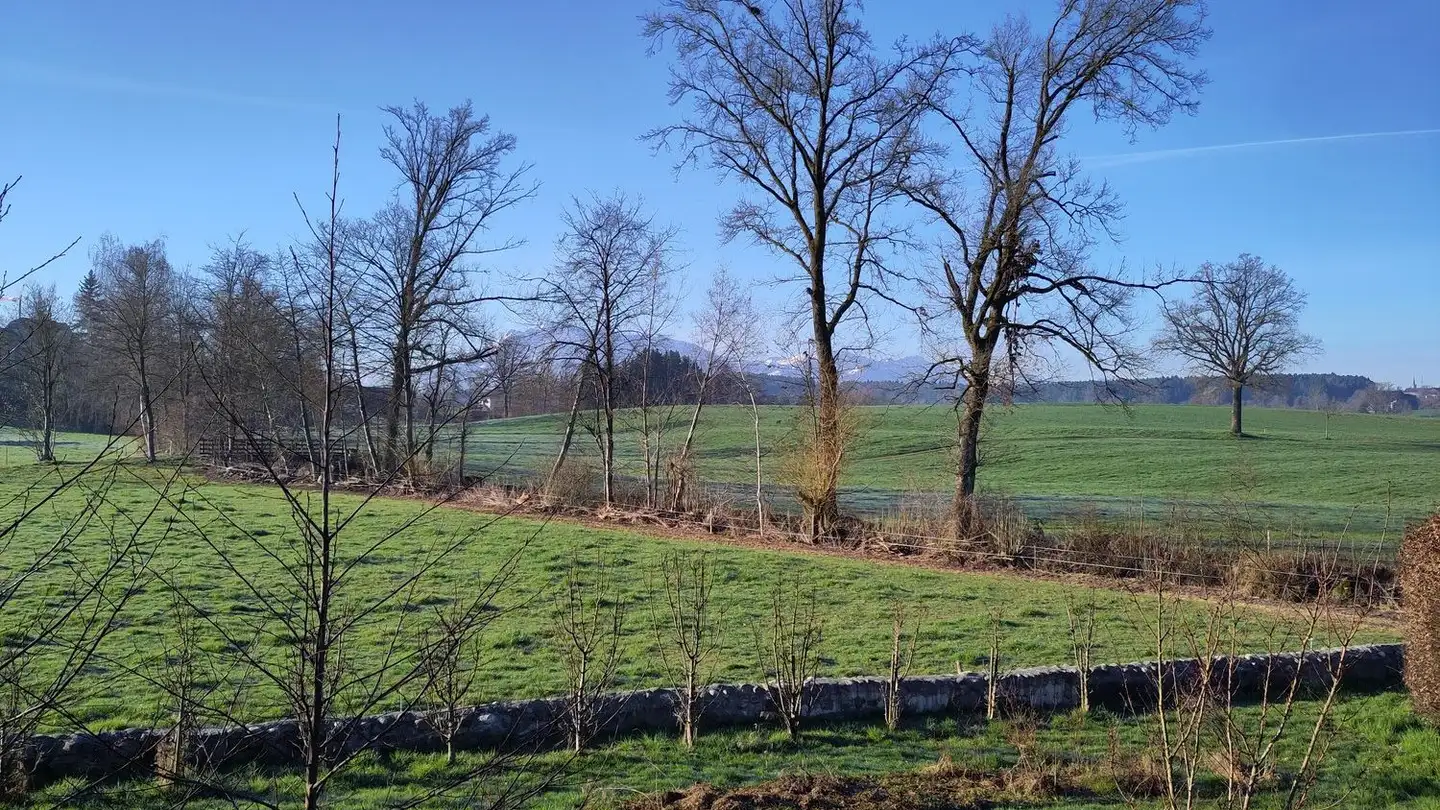 Appartement à louer - Ligschwil 28, 6280 Urswil - Photo 2