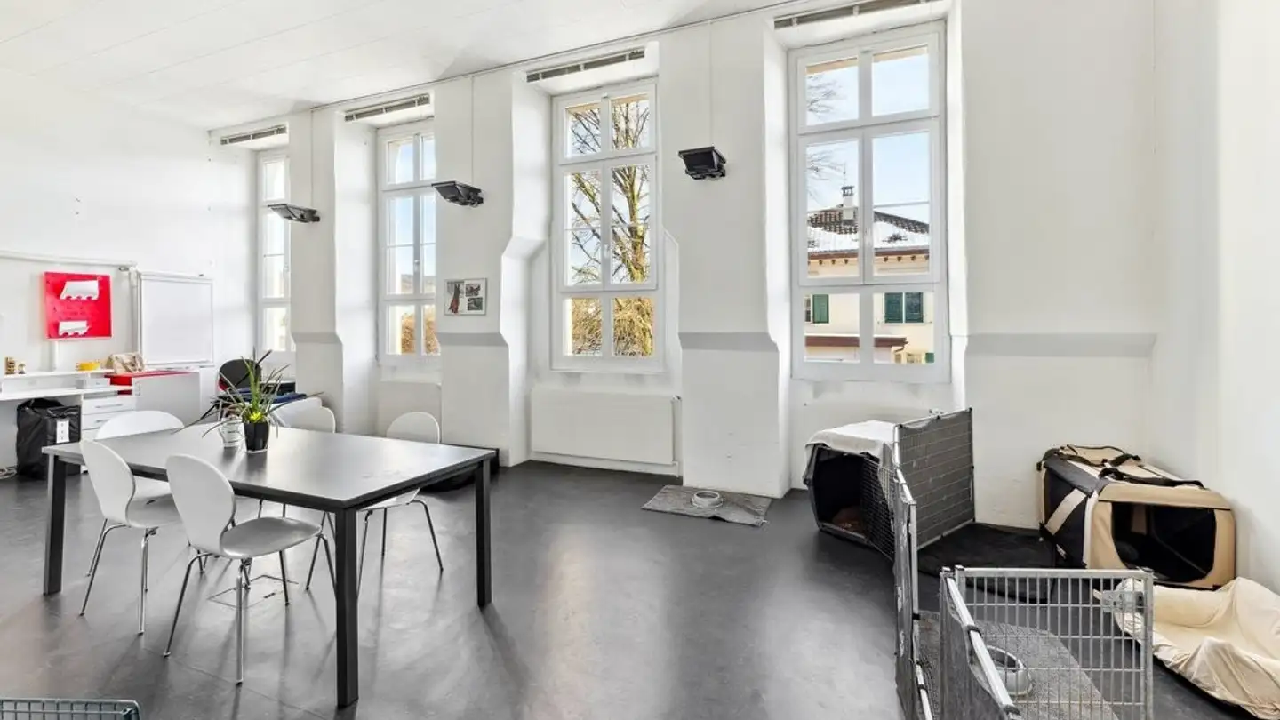 Gewerbe mieten - Alte Affolterstrasse 1, 8909 Zwillikon - Foto 2