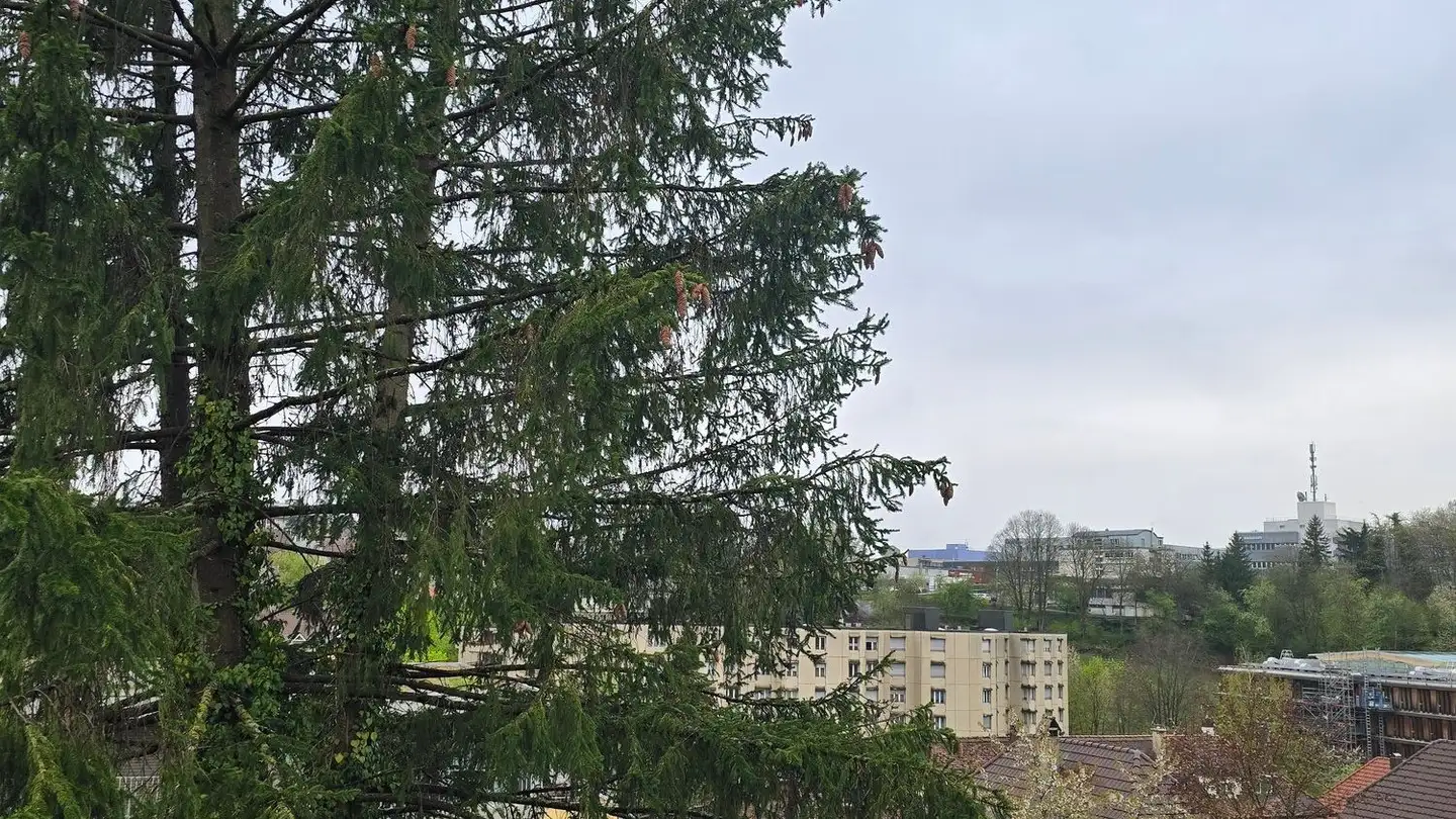 Dachgeschosswohnung mieten - Rosenweg 1, 3063 Ittigen - Foto 2