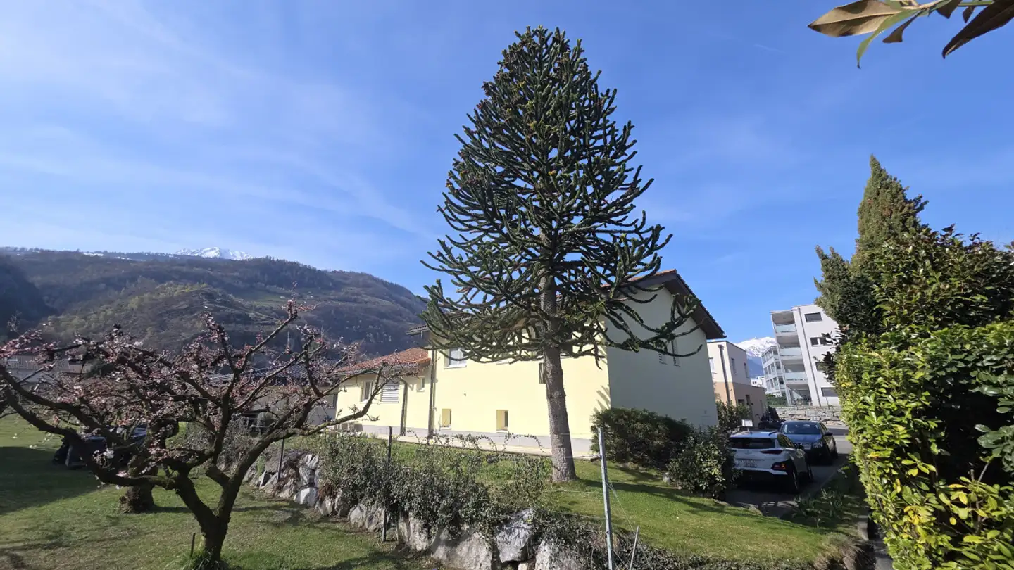 Single house for sale - 1950 Sion