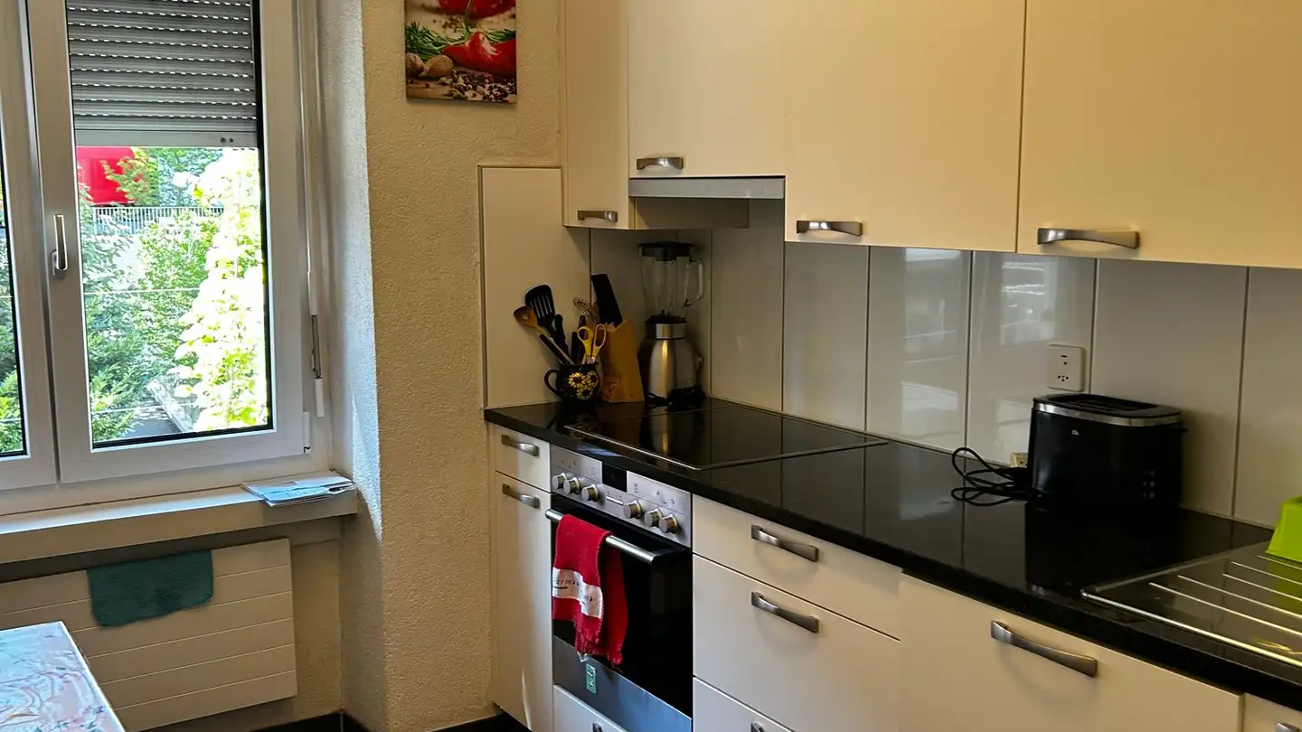 Appartamento in affitto - Uetlibergstrasse 30, 8045 Zürich