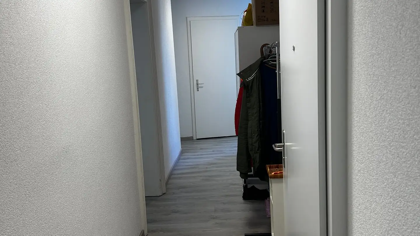 Appartamento in affitto - Uetlibergstrasse 30, 8045 Zürich - Foto 3