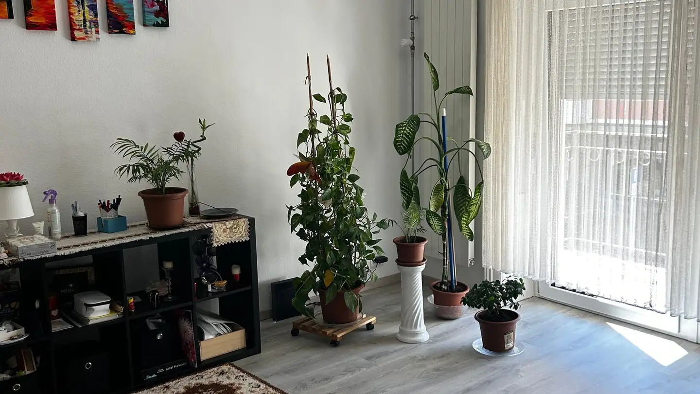 Appartamento in affitto - Uetlibergstrasse 30, 8045 Zürich - Foto 4