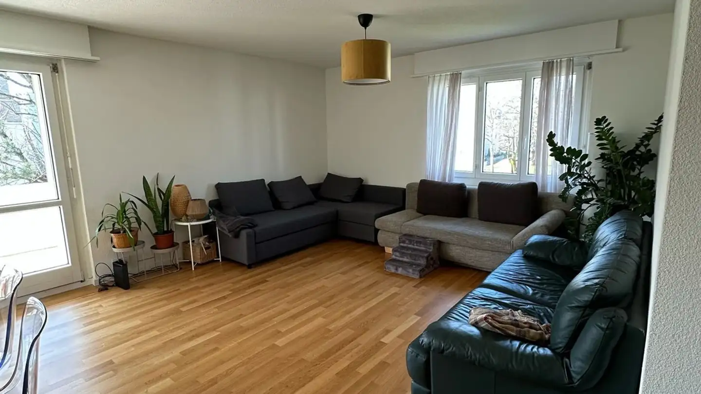 Chambre à louer - Lättenwiesenstrasse 24, 8152 Glattbrugg - Photo 2