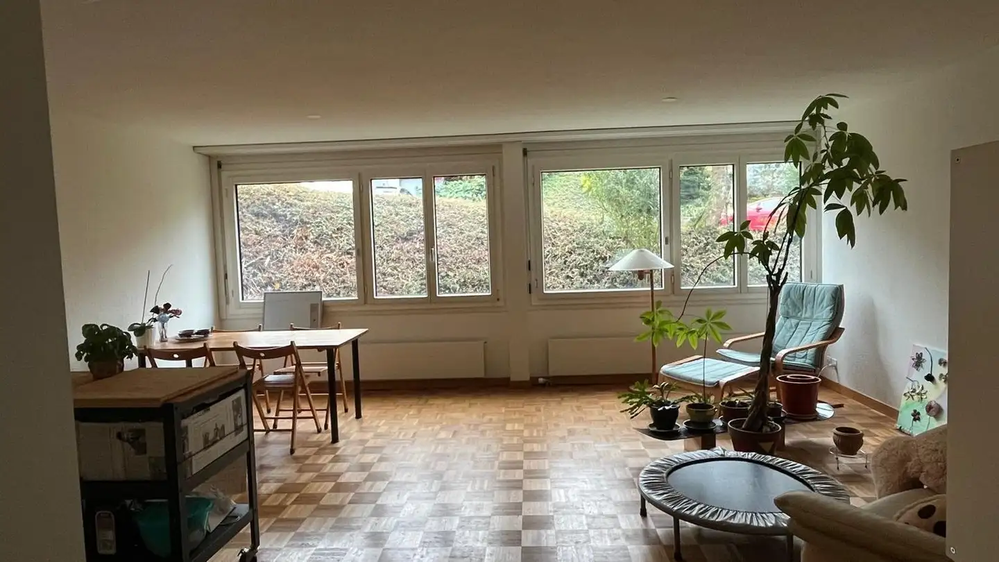 Studio mieten - Oberdierikonerstrasse 51, 6030 Ebikon