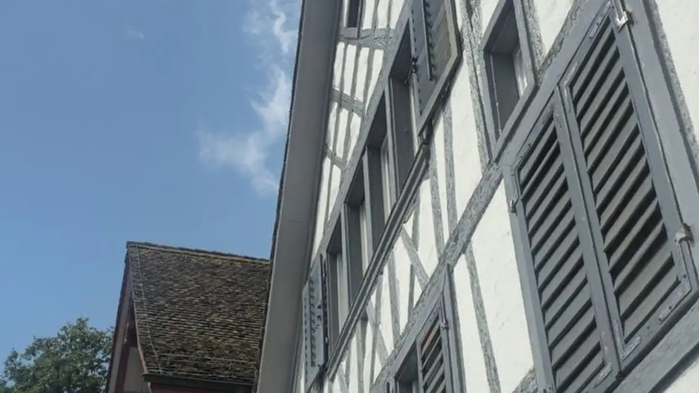 Appartamento in affitto - Schönenbergstrasse 18, 8820 Wädenswil - Foto 3
