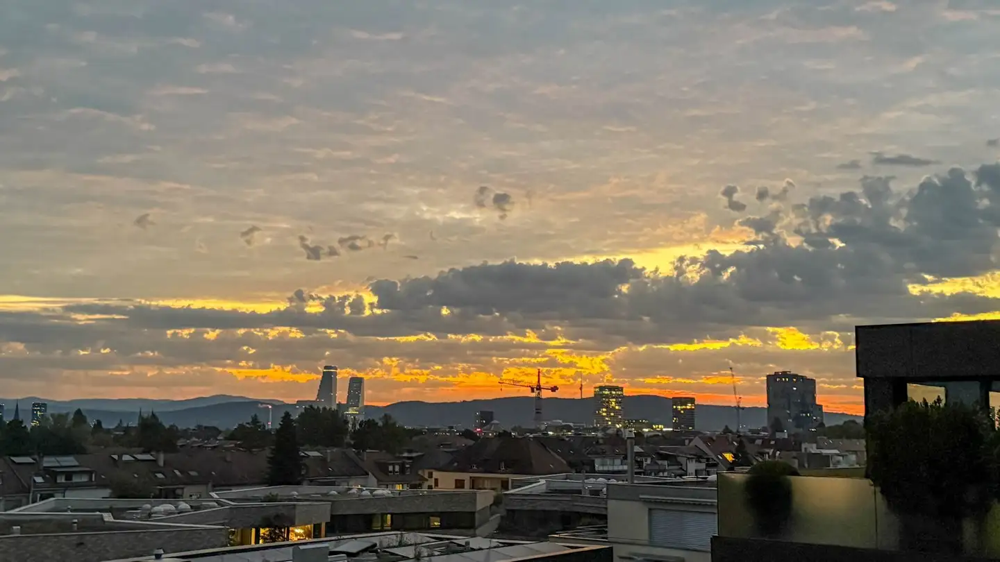 Appartement à vendre - Hasenrainstrasse 55, 4102 Binningen