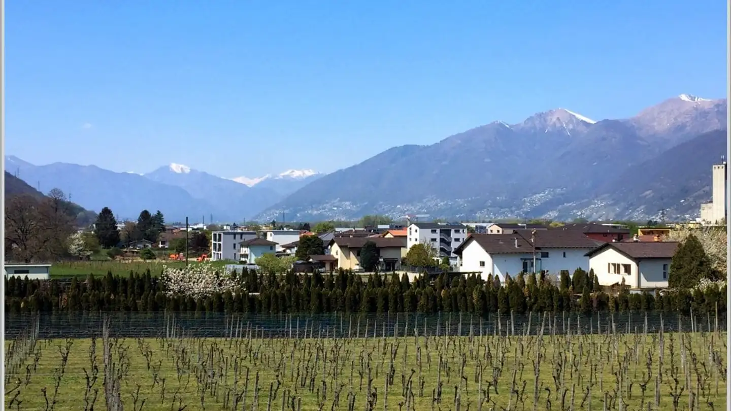 Casa singola in vendita - 6593 Cadenazzo - Photo 3