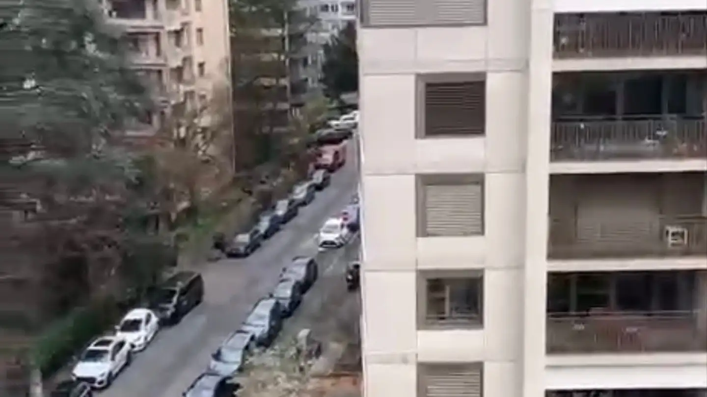 Appartement à louer - Avenue De Champel 73, 1206 Genève - Photo 3