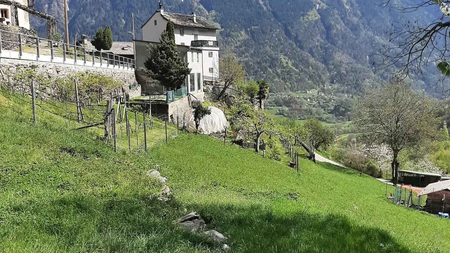 Casa singola in vendita - Via Sassello 17, 6723 Marolta - Photo 3