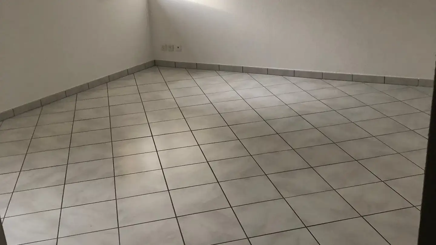 Appartamento in affitto - Via Elgia 15, 6806 Sigirino - Photo 4