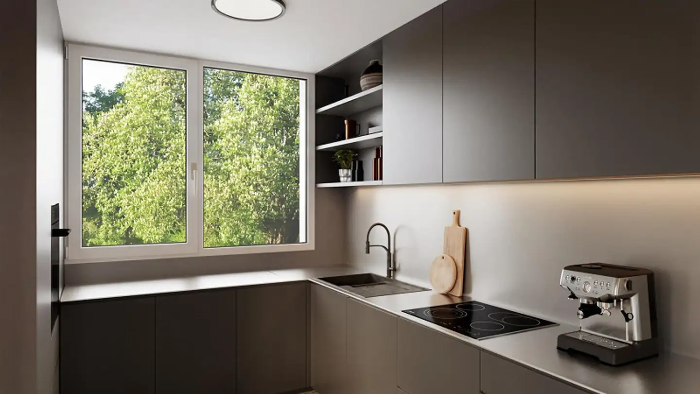 Maison individuelle à vendre - Dornacherstrasse 50, 4147 Aesch BL - Photo 4