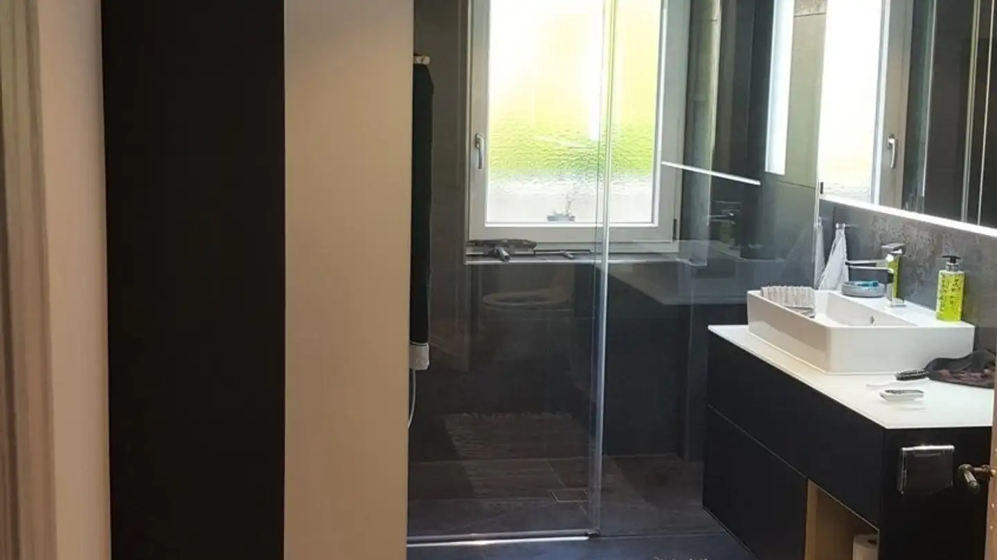 Wohnung mieten - Bottmingerstrasse 73, 4102 Binningen