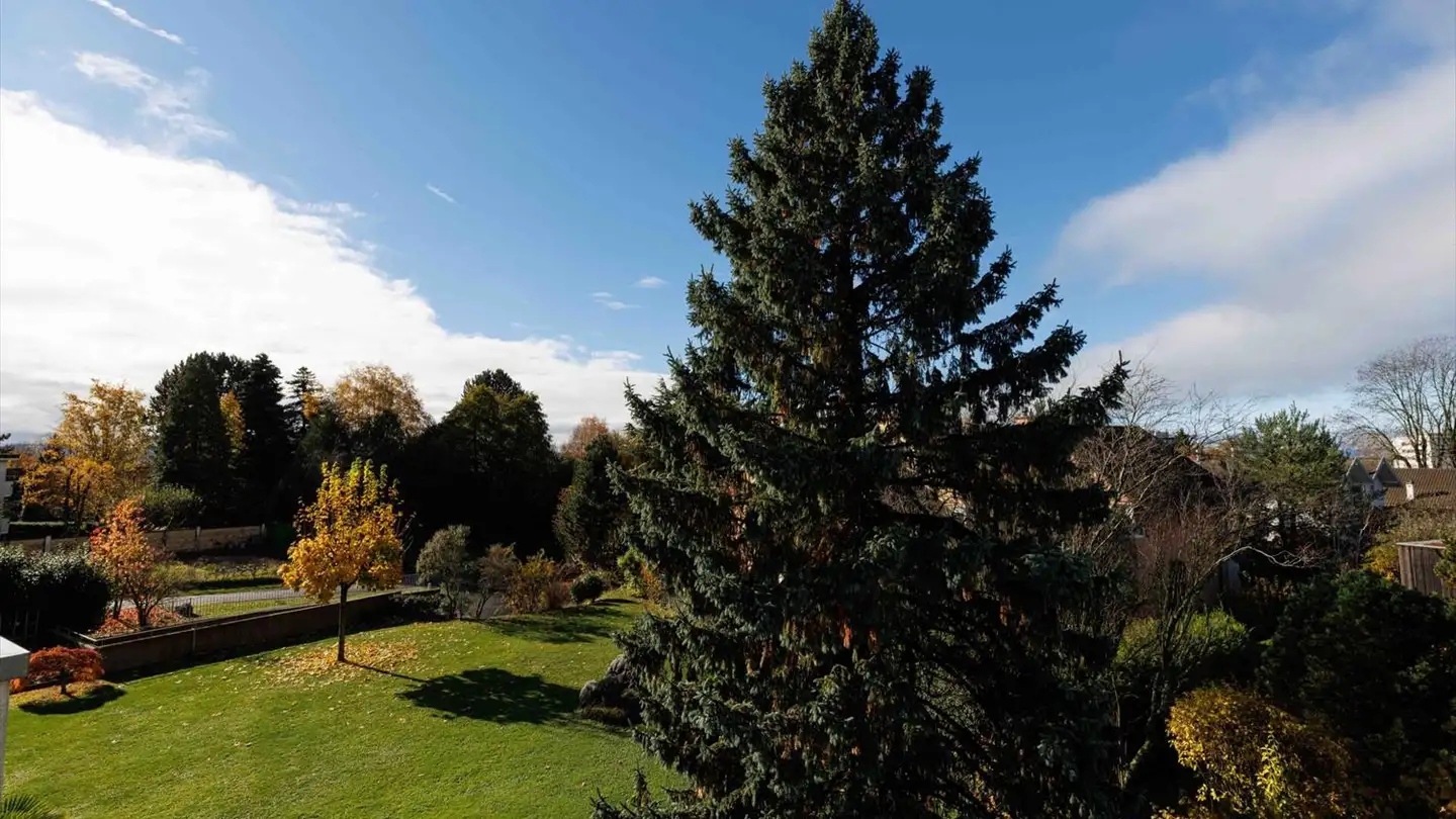 Appartamento in vendita - 1012 Lausanne - Photo 2