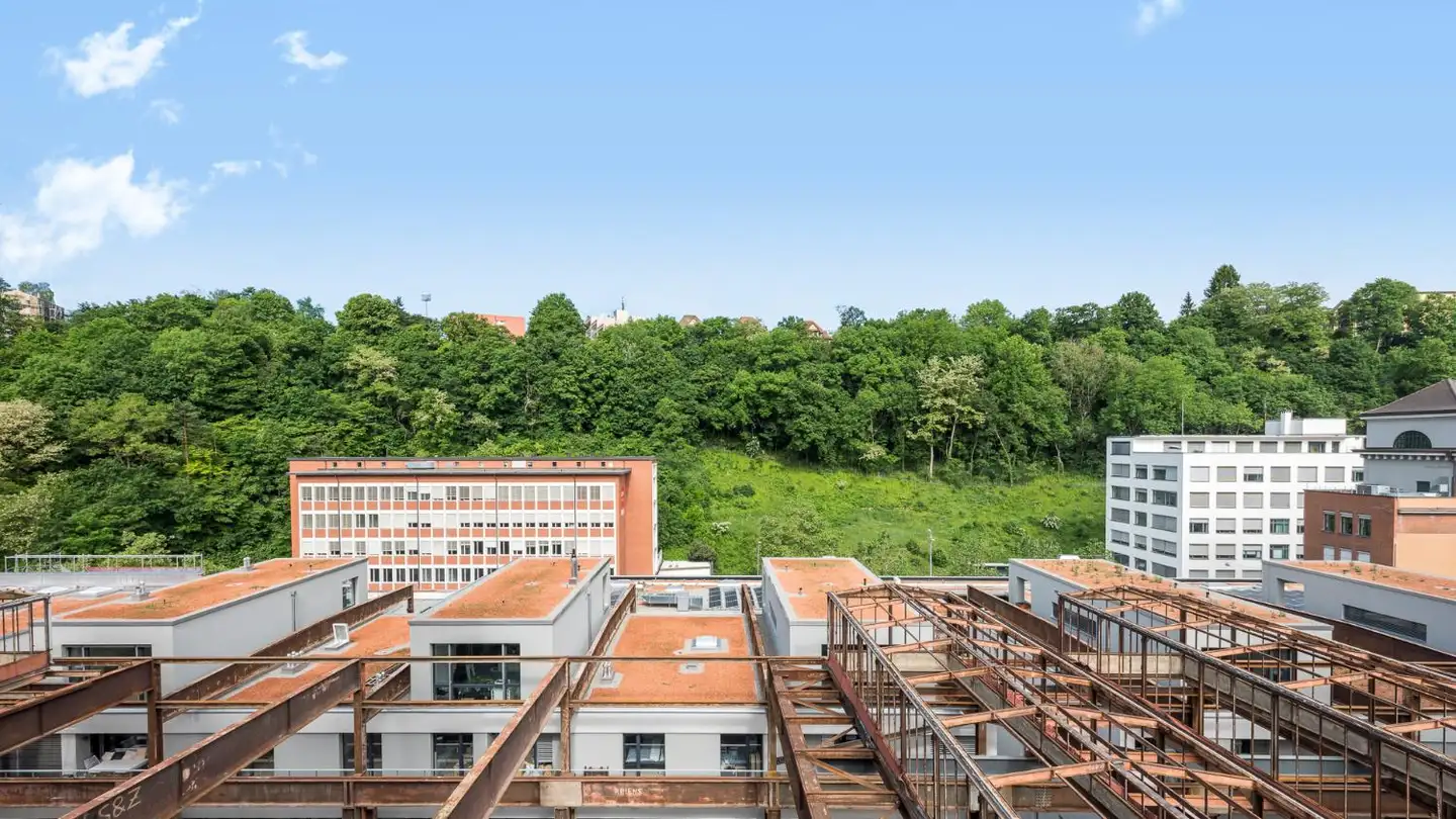 Wohnung mieten - Zur Stahlgiesserei 6, 8200 Schaffhausen - Foto 2