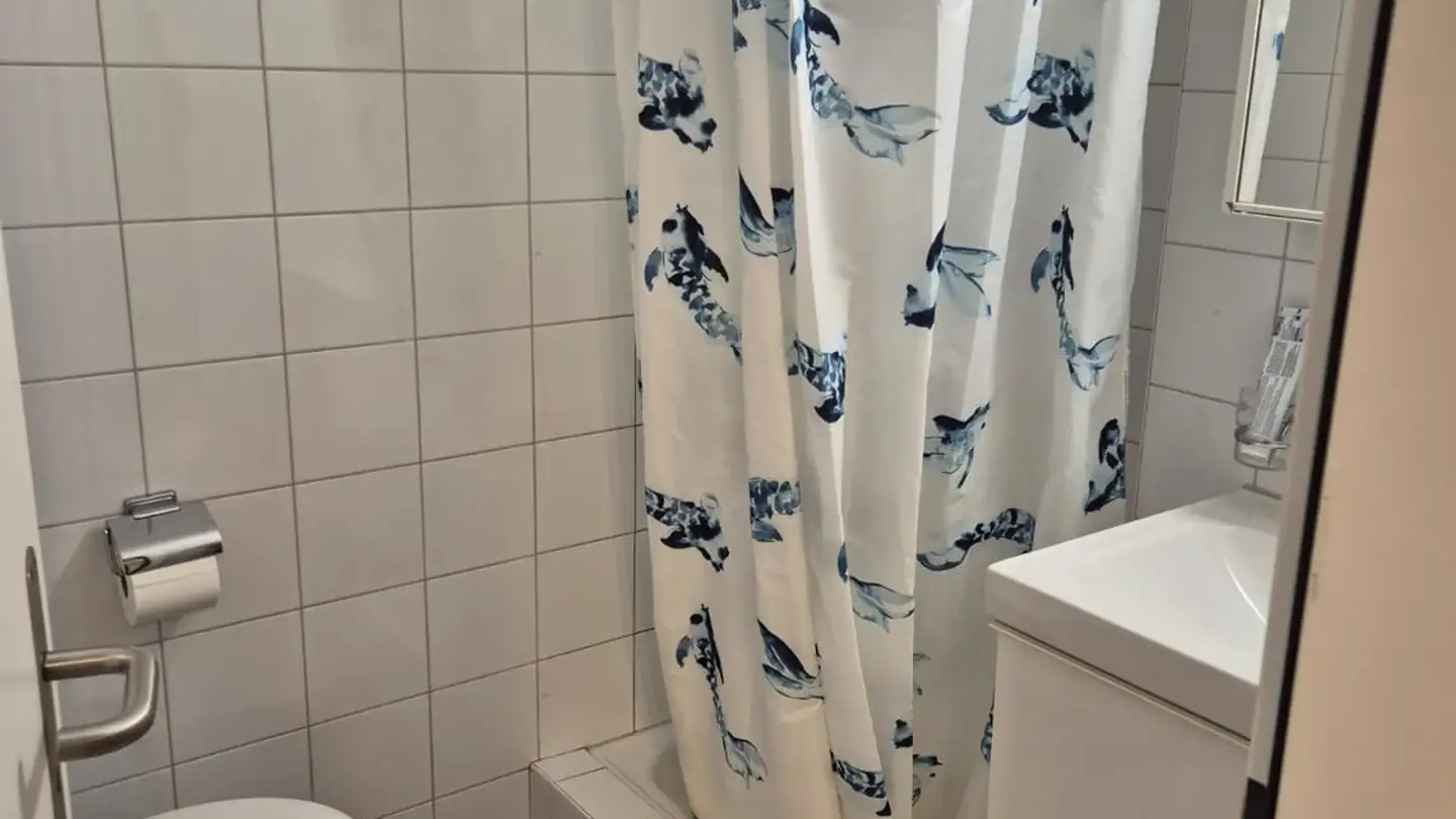 Furnished apartment for rent - Hohstrasse 4, 8302 Kloten - Photo 3