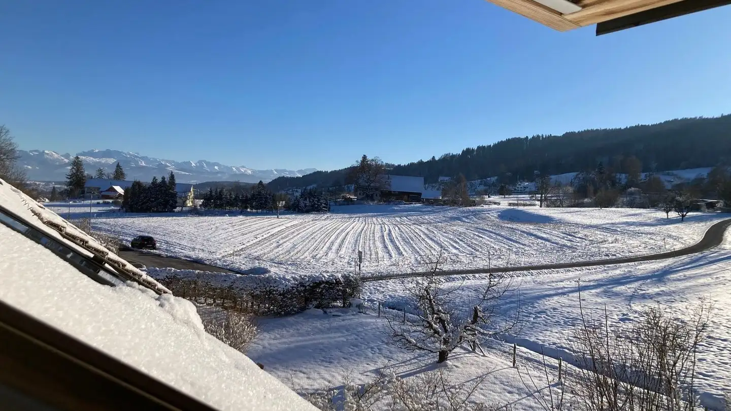 Casa a schiera in affitto - 8132 Hinteregg