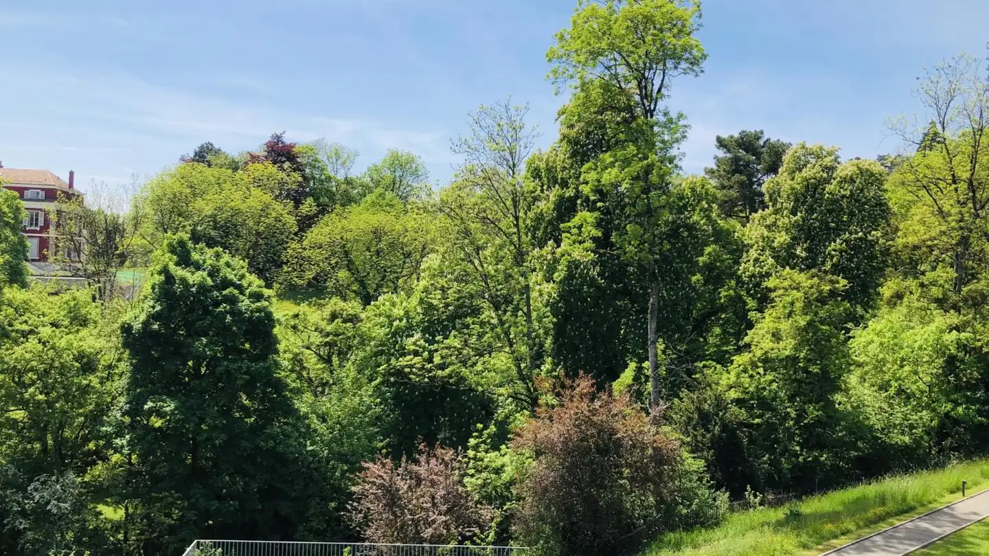 Penthouse for rent - Chemin Des Vignes 1c, 1213 Petit-Lancy - Photo 2