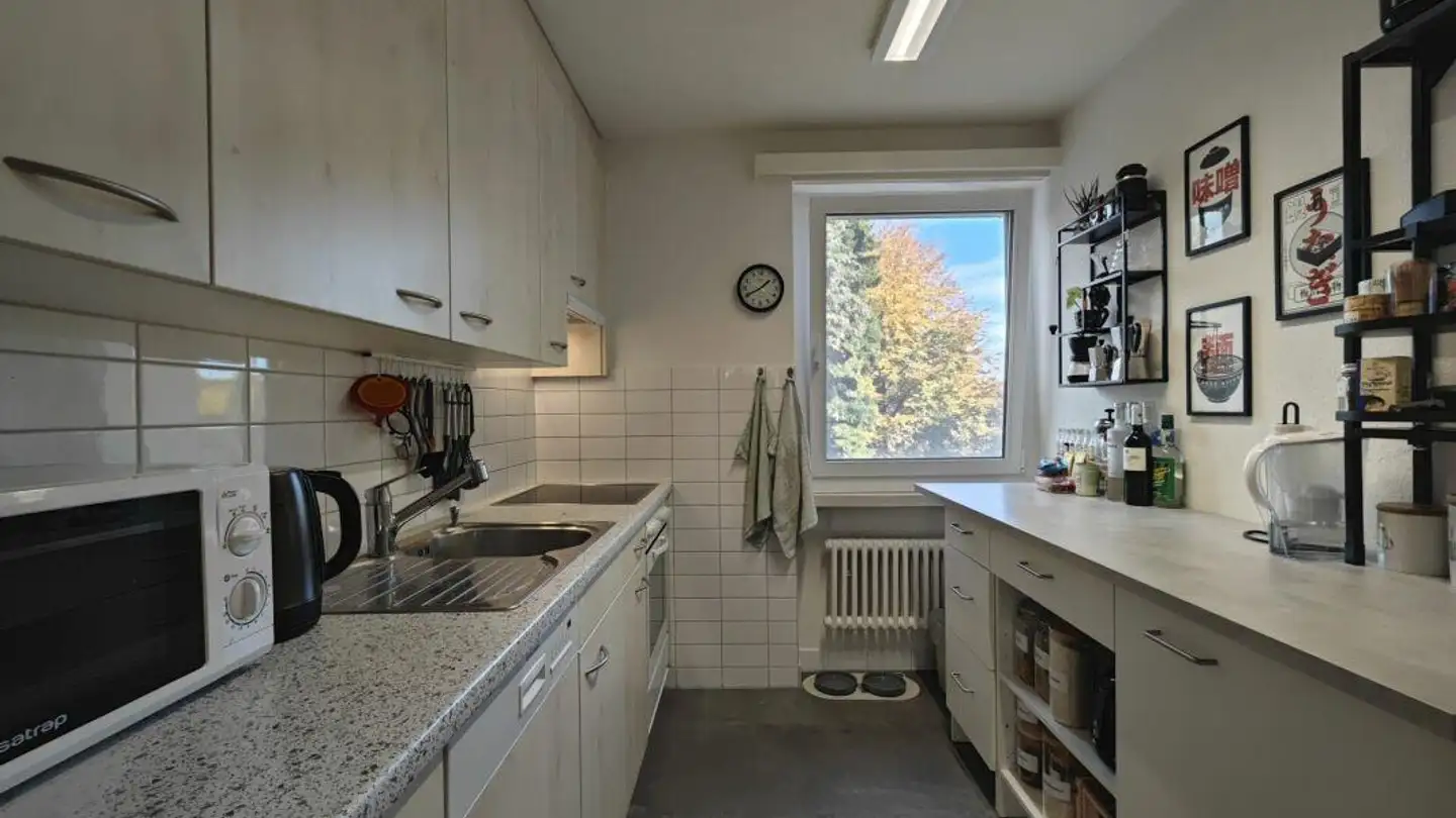 Appartamento in affitto - Eidmattstrasse 13, 8820 Wädenswil - Photo 2