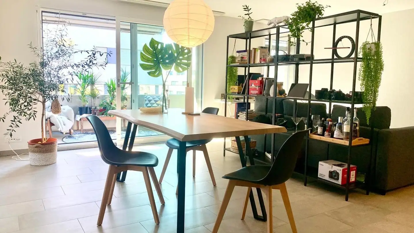 Appartamento in affitto - Avenue de Sévelin, 1004 Lausanne