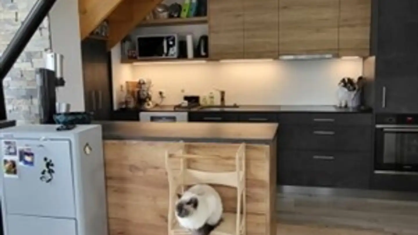 Casa singola in vendita - Route Des Torrents 19, 1907 Saxon - Photo 4