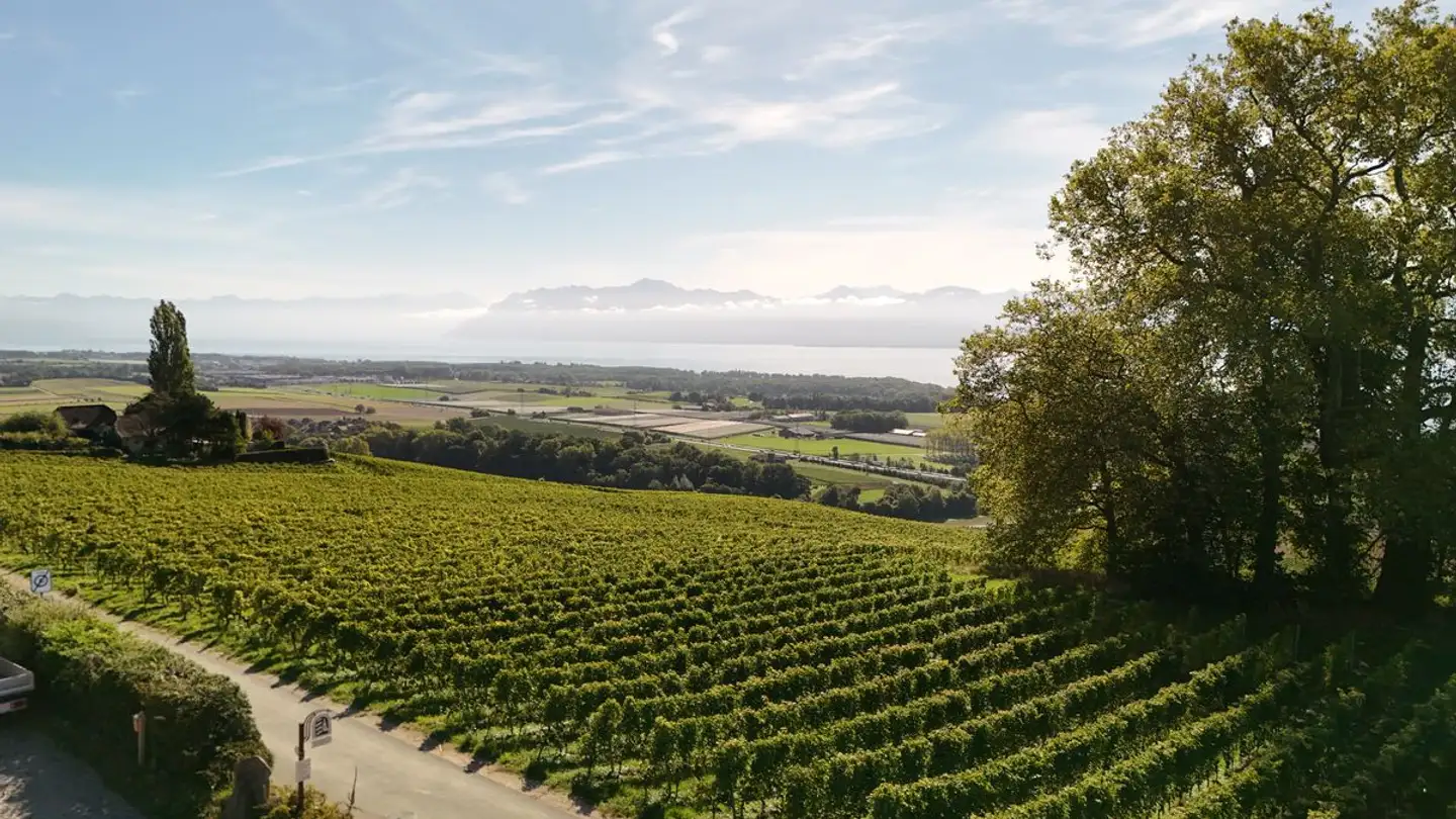 Maison individuelle à vendre - 1172 Bougy-Villars