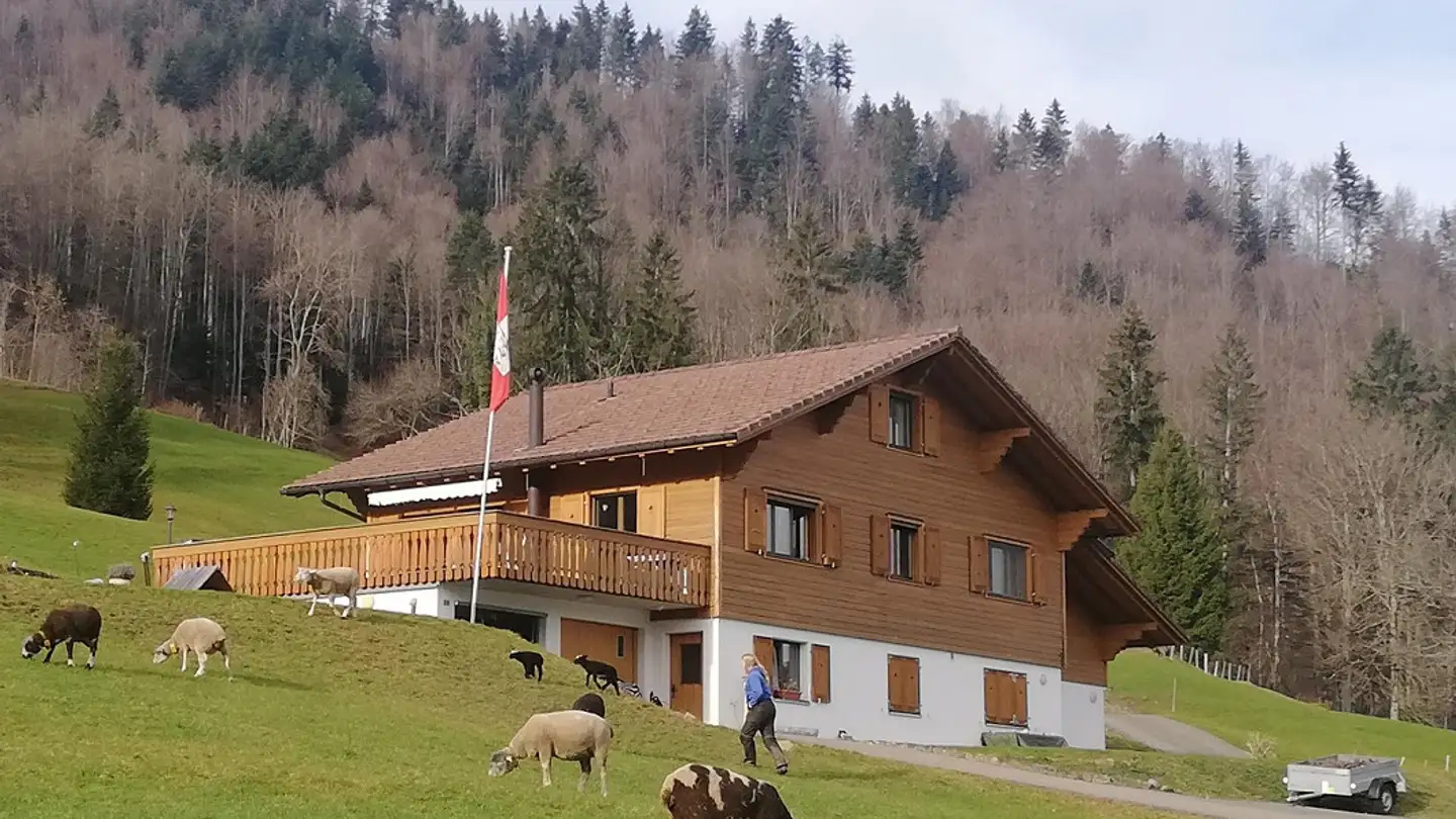 Wohnung mieten - Bärecken 2, 6074 Giswil - Foto 2