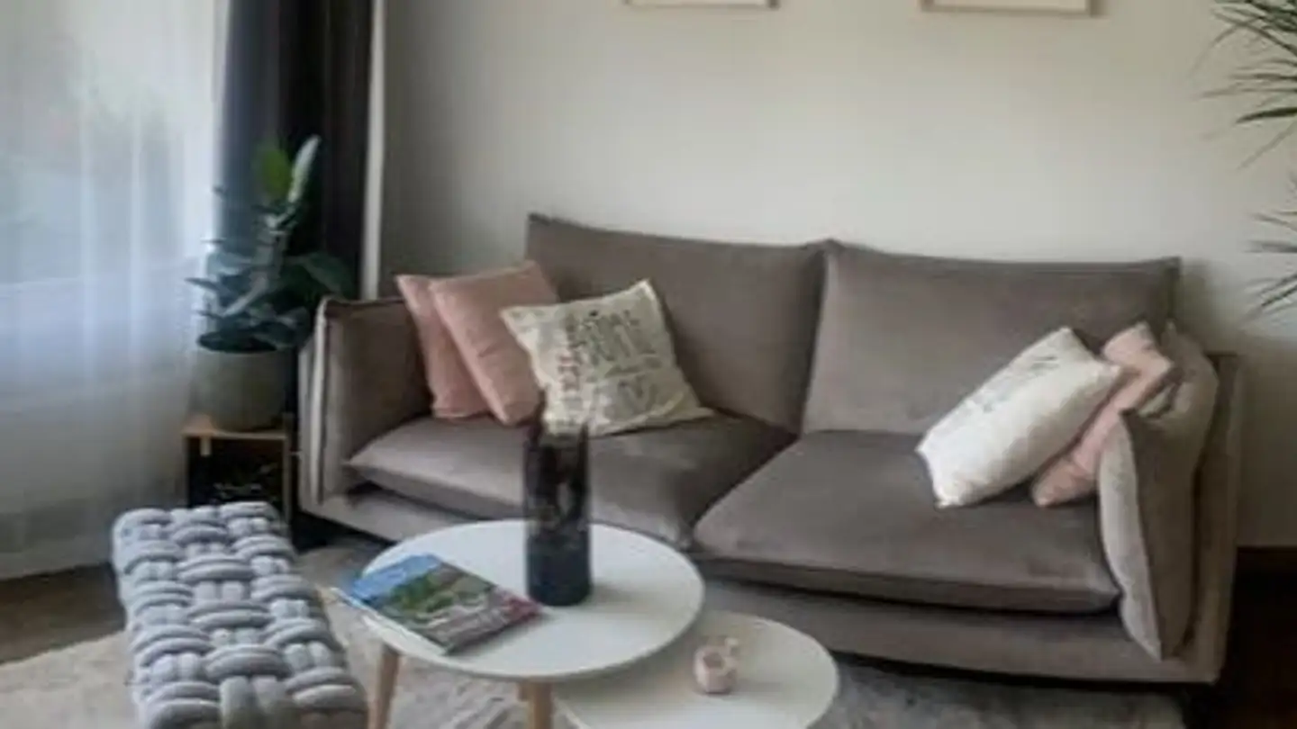 Appartamento in affitto - Chemin De L'ermitage 20, 1619 Les Paccots - Foto 3