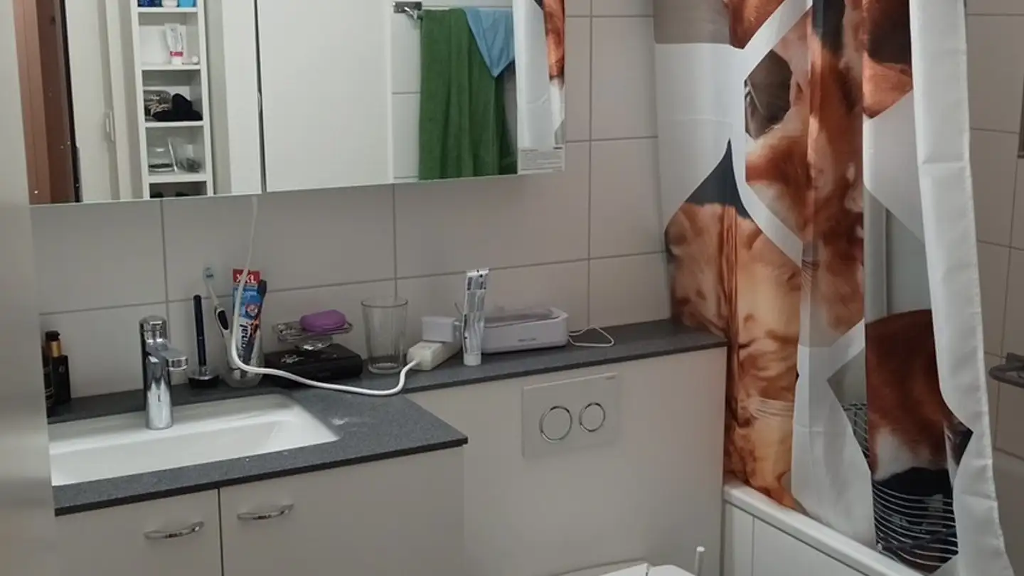 Zimmer mieten - Lindenhausstrasse 16, 6005 Luzern - Foto 4